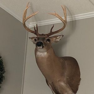 Meet your Posher, Ashton